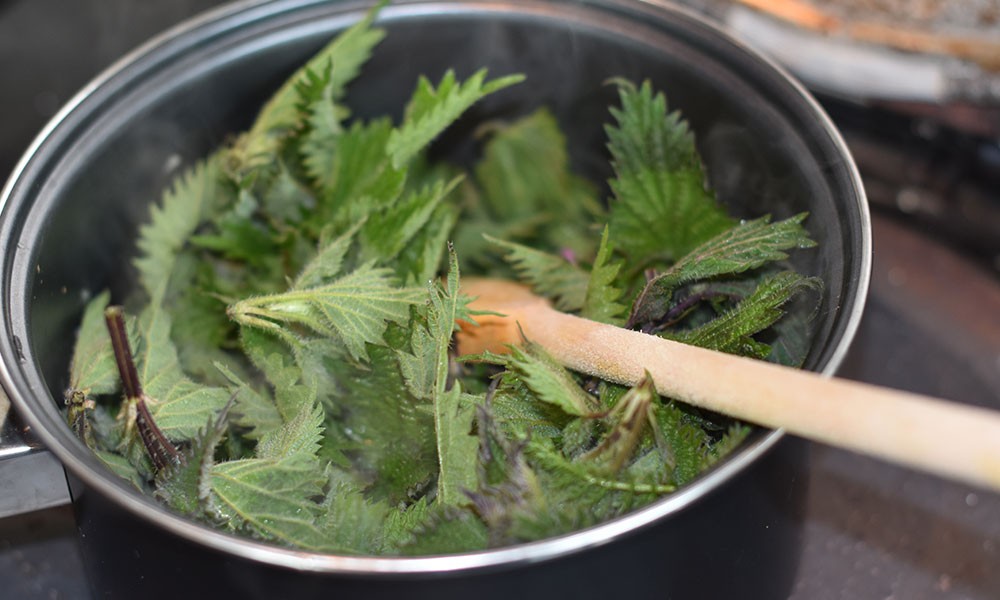 James Chubb's Nettle Soup