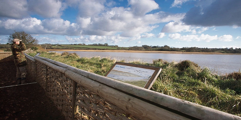 rspb-bowling-green-marsh-darts-farm-devon-1000x500