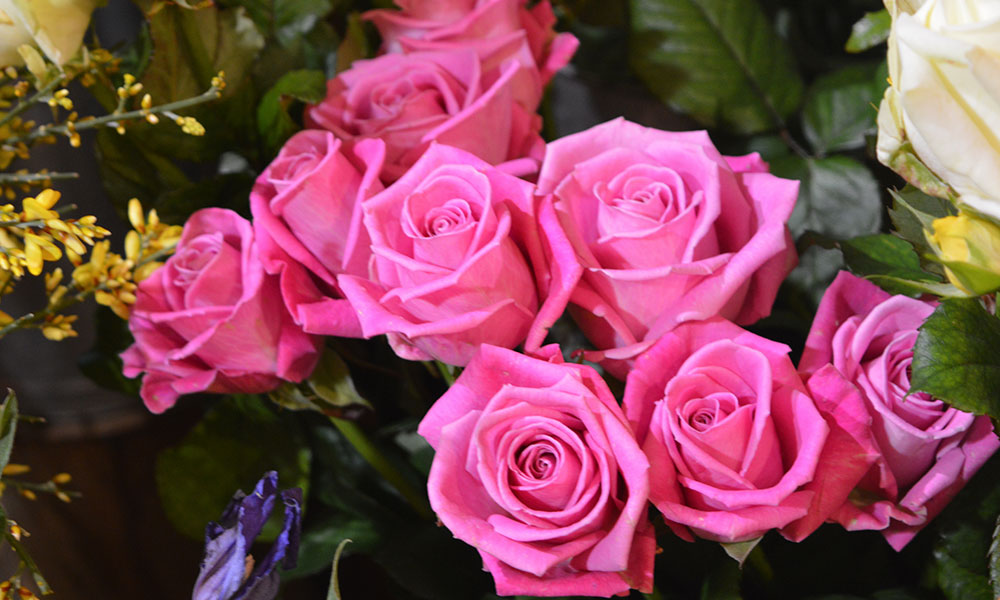 pink_roses_valentines_florist_darts_farm_devon_600x700