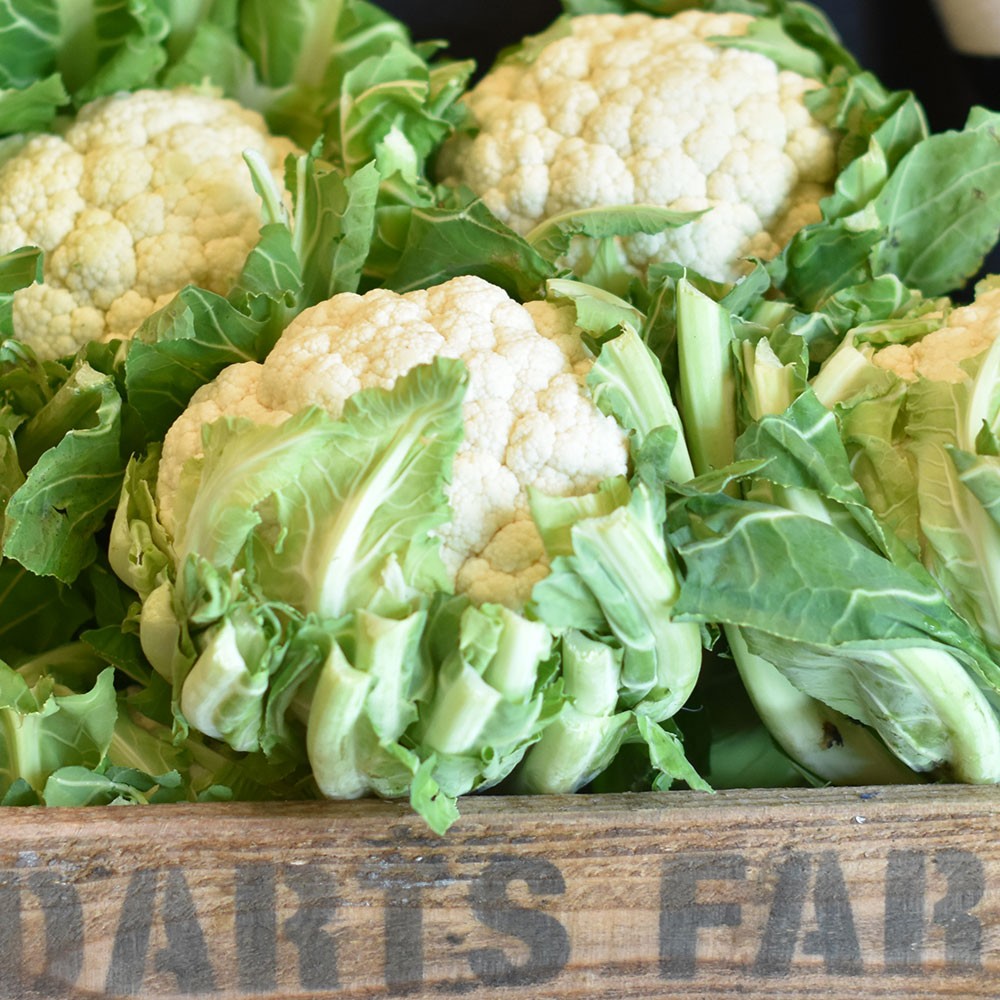 Buffalo Cauliflower Wings with Blue Cheese Sauce Image 1