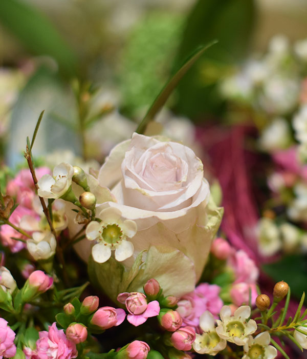 Mothers_Day_Flowers_Darts_Farm_Exeter_600x700