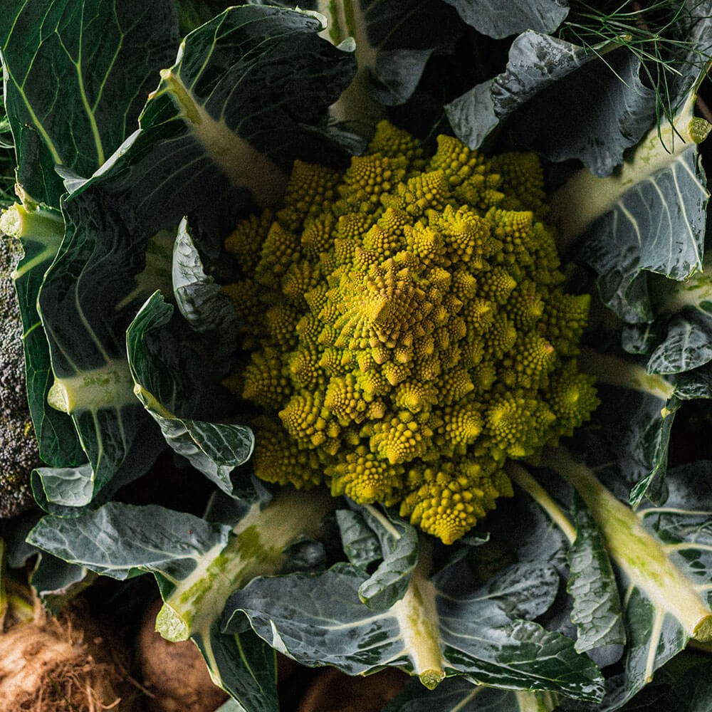 Romanesque soup with walnut-mint pesto Image 1