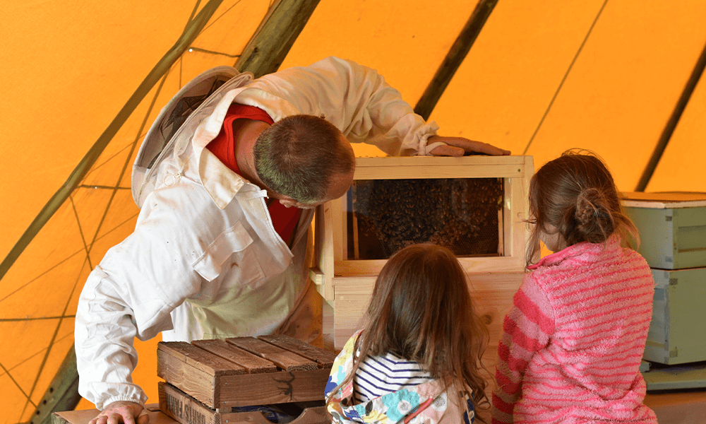 Darts_Farm_Open_Farm_Sunday_Bees_Honey