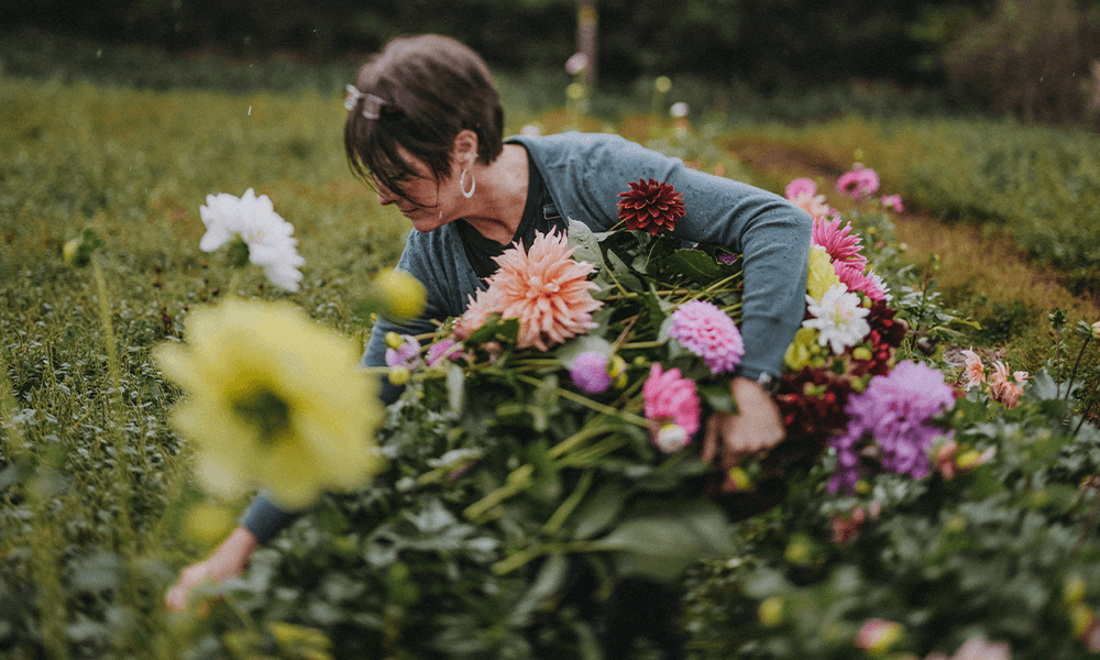 Darts_Farm_Flower_Shack