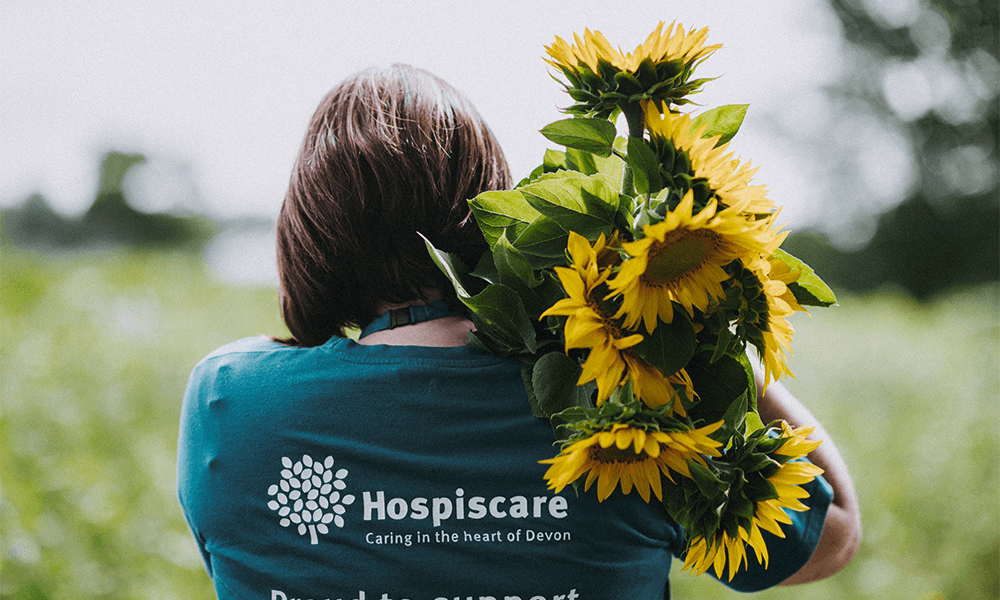 Hospiscare_Sunflowers_Darts_Farm