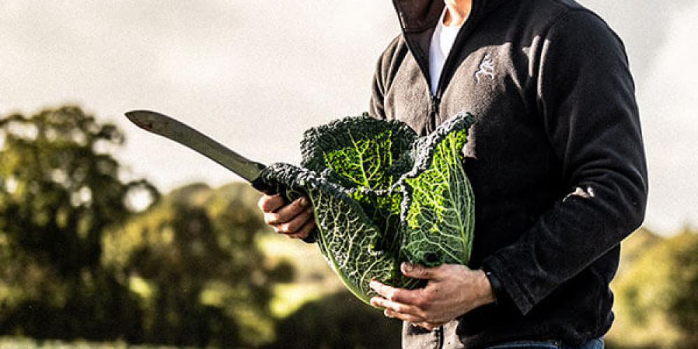 Savoy Cabbage & Leek Soup