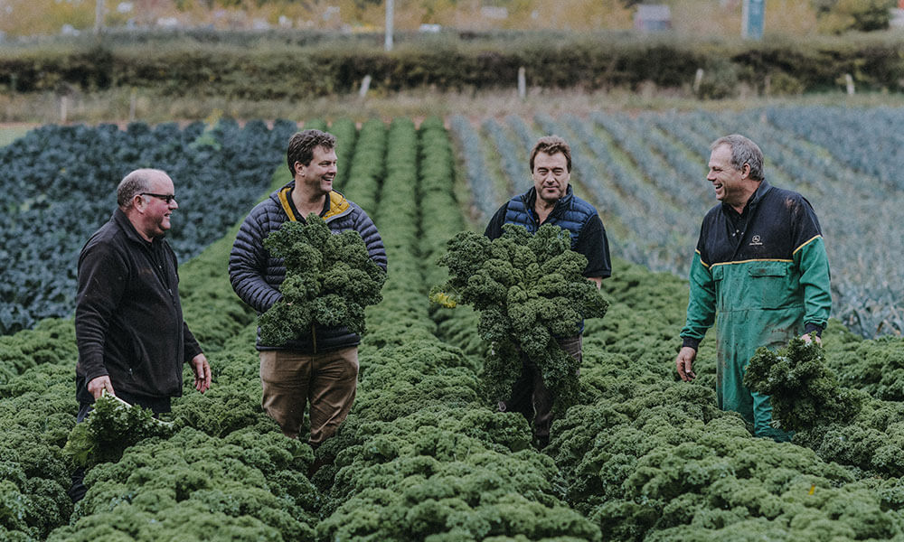 kale_darts_farm_devon_1000x600