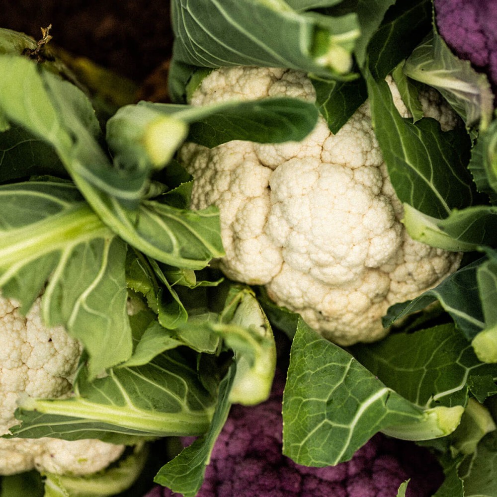 Roasted Cauliflower with Parmesan, Garlic & Thyme Image 1