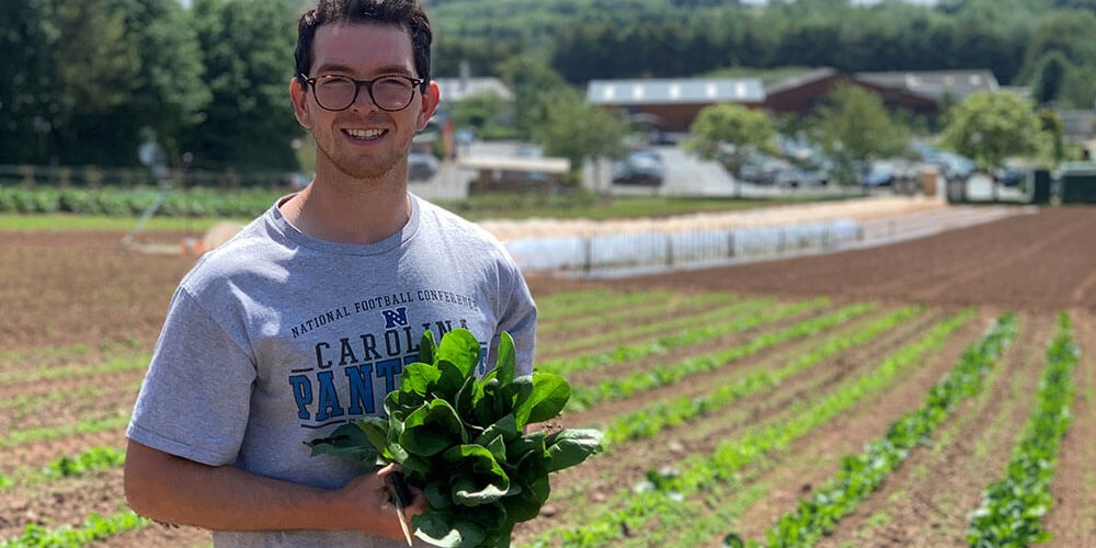 June on the Farm