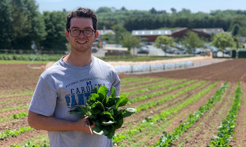 June on the Farm