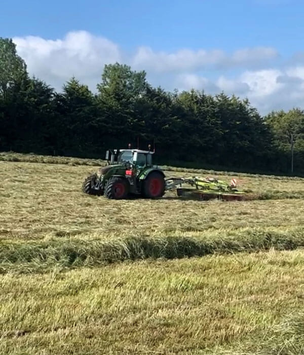 Raking_Clover_Darts_Farm_Devon_600x700