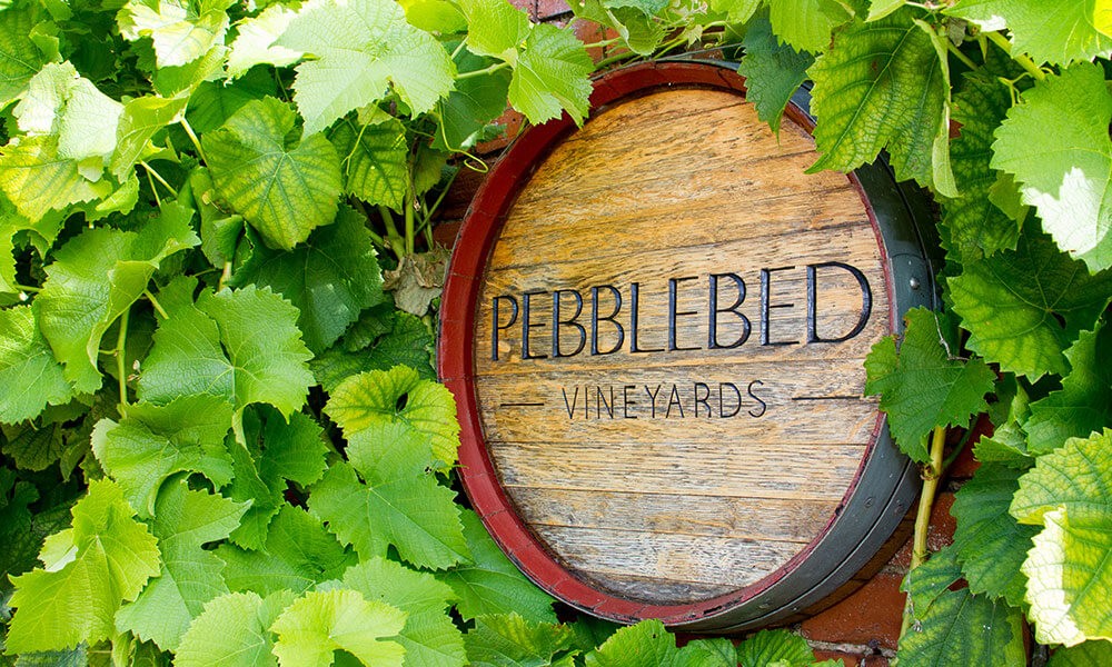 Pebblebed Vineyards Tours | 2024 Season