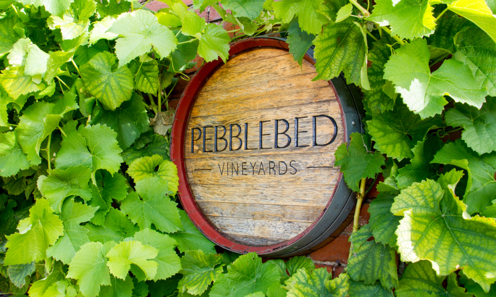 Pebblebed_Barrel_Darts_Farm_1000x600