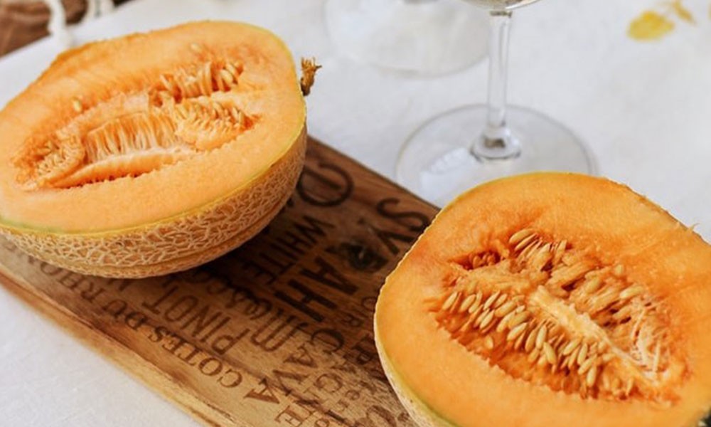 Cantaloupe Melon Sorbet