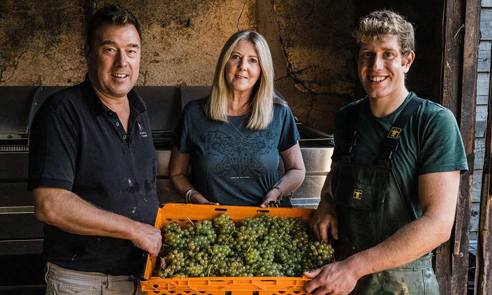 Pebblebed_Harvest__Anna)Darts_Farm_Devon_1000x600