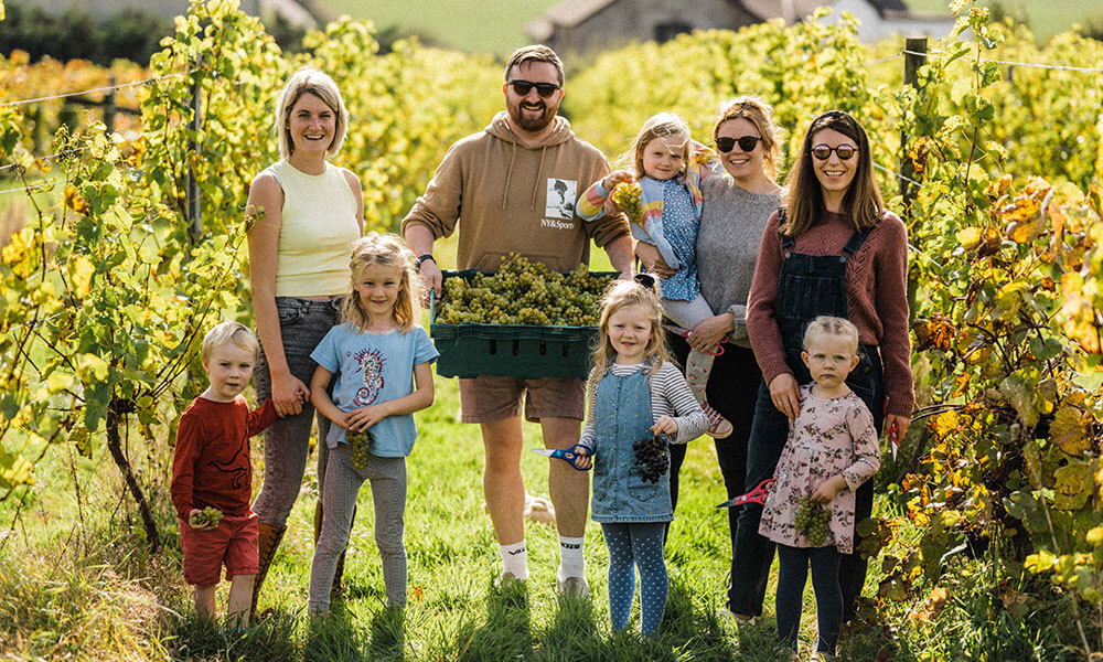 Pebblebed Vineyards Community Harvest 2023