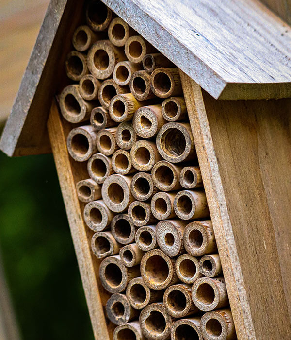 Bee_Hotel_Darts_Farm_Devon_600x700