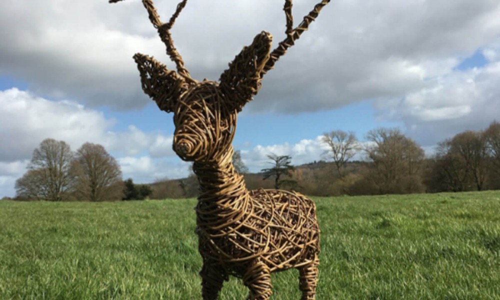 Willow Reindeer Masterclass | 01.12.23