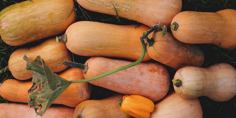 Butternut Squash Soup with Chilli & Crème Fraîche