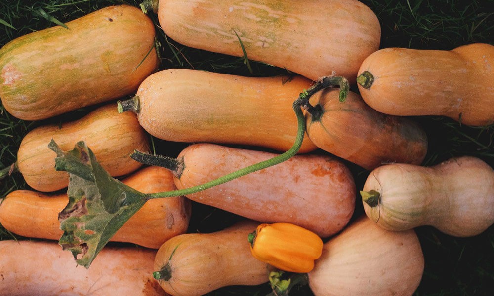 Butternut Squash Soup with Chilli & Crème Fraîche