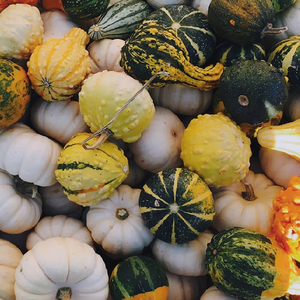 Crown Prince Squash & Cider Risotto Image 1