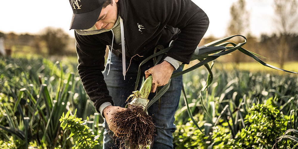 Charred Darts Farm Leeks