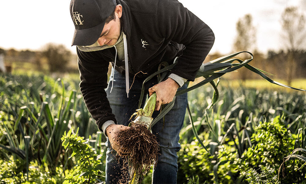 Charred Darts Farm Leeks