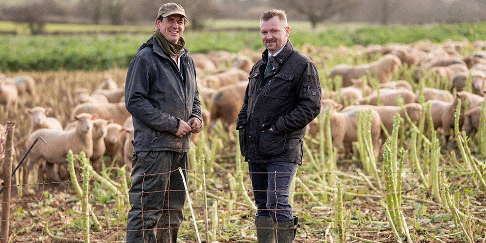 March in The Farm Table