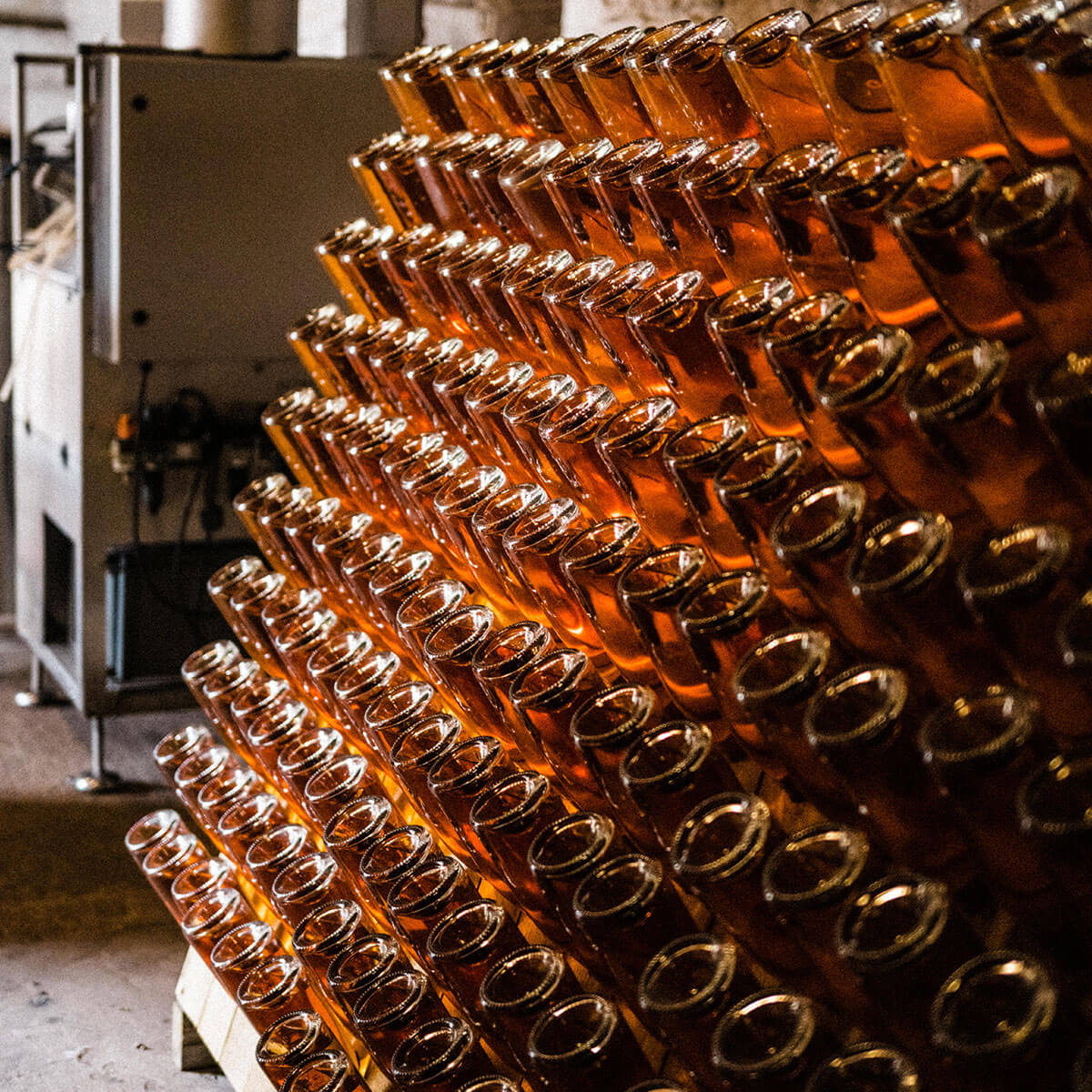 Pebblebed Sparkling Rosé