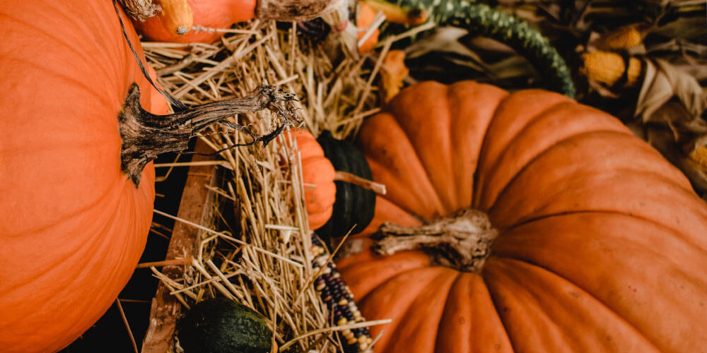 DARTS ROASTED PUMPKIN SOUP