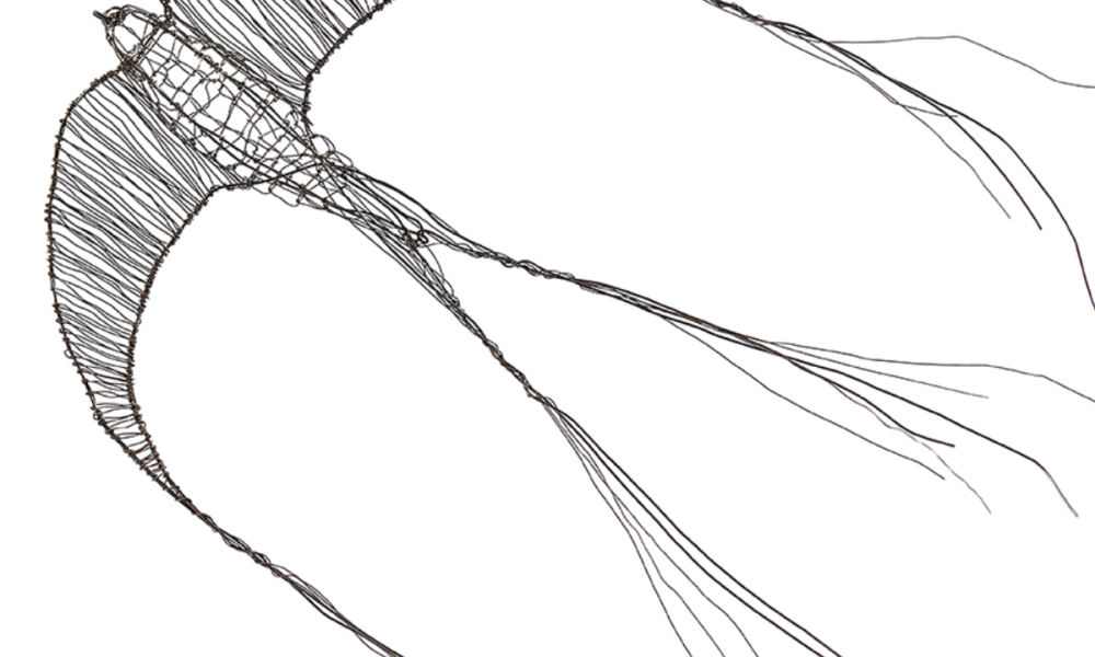 WIRE SWALLOW WORKSHOP