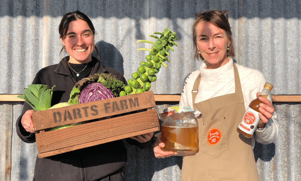 WELLNESS & FERMENTATION TASTING WEEKEND