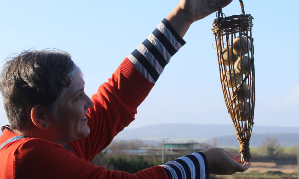 Willow Bird Feeders Masterclass | 03.05.24