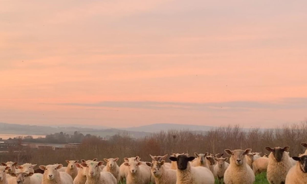 Easter Sunday Feast in The Farm Table