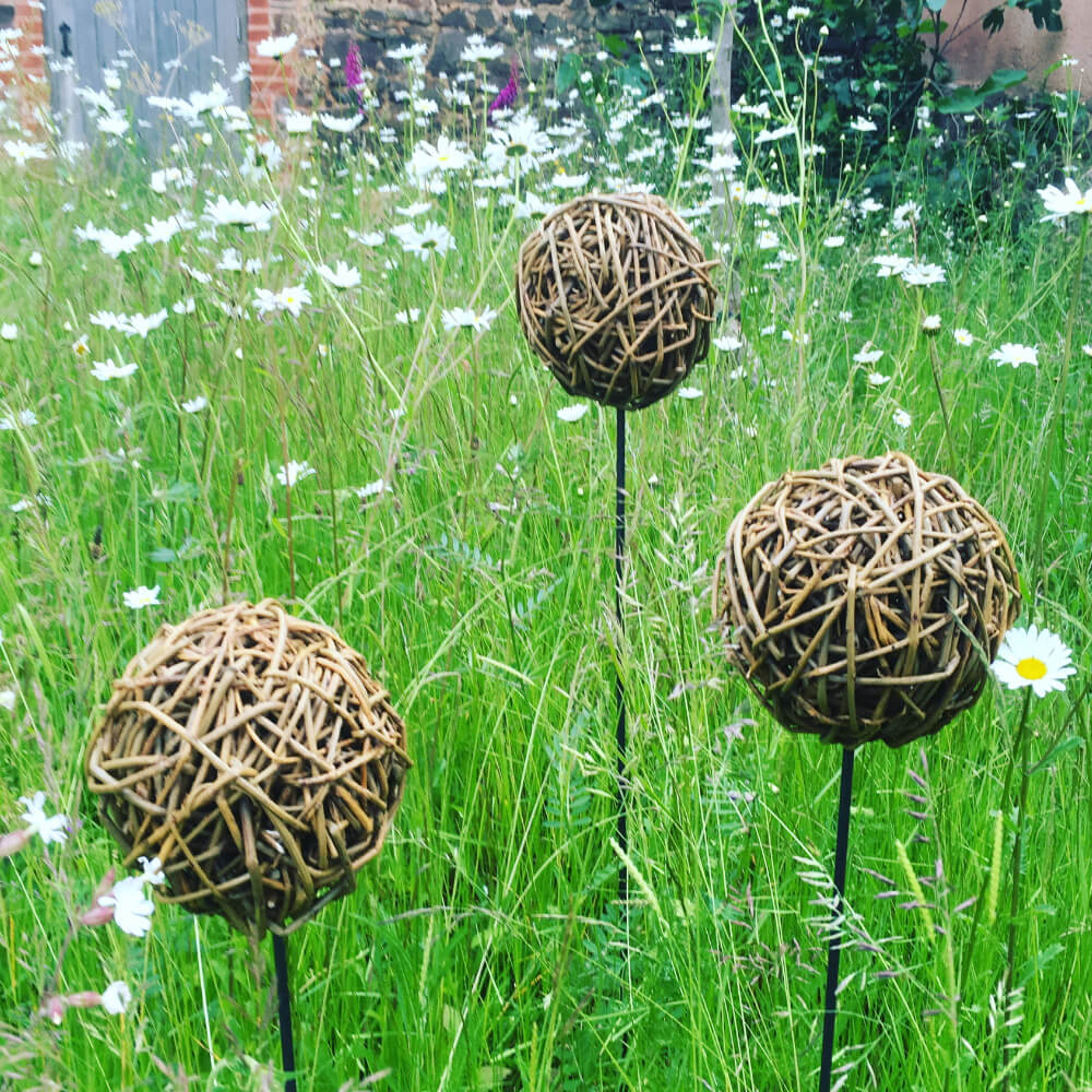 Willow_Alliums_Garden_1200x1200