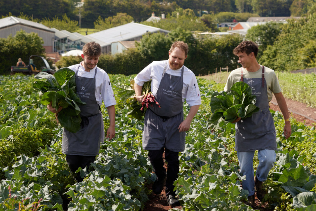 The Farm Table