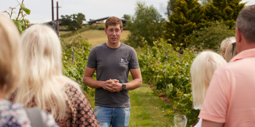 Pebblebed Vineyard Tour & Tasting | 2026 Season