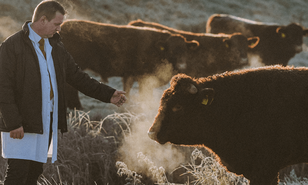 The Return to Real Food