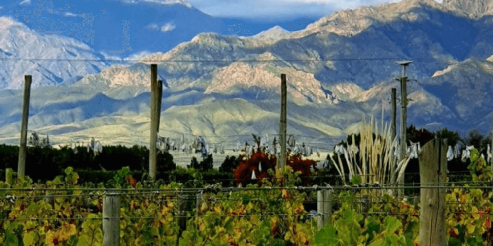 Argentinian Wine Dinner