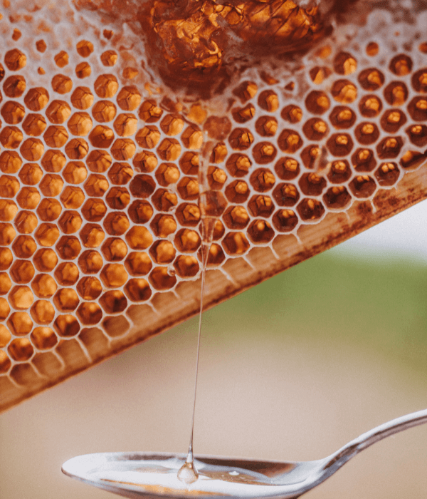 Spoonful_Of_Honey 600x700
