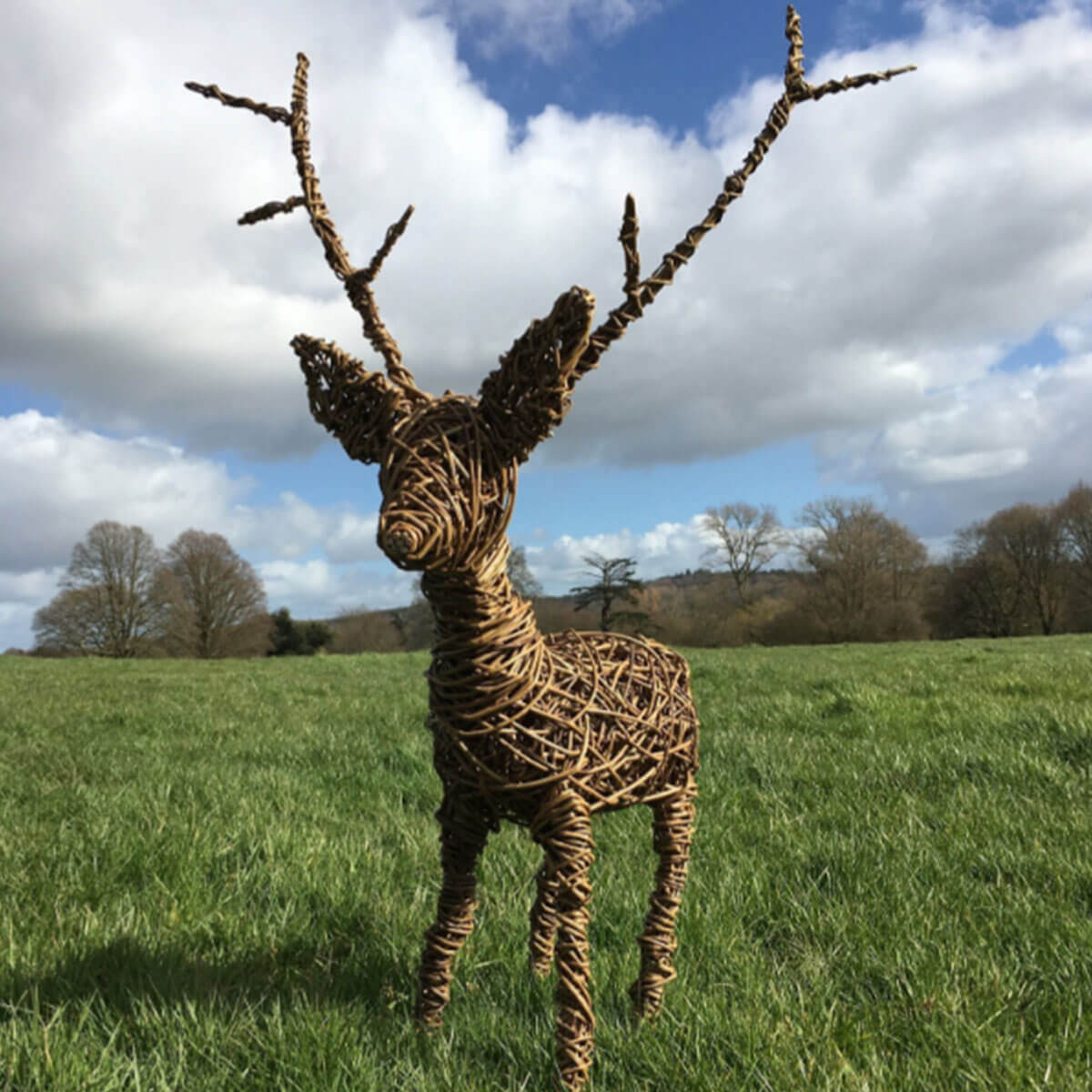 Willow_Reindeer_Darts_Farm_Devon_1200x1200