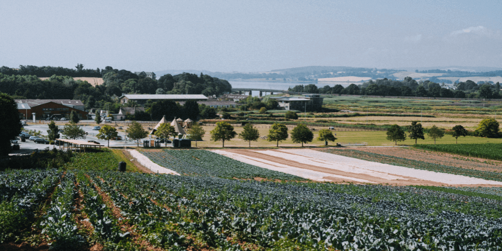 August in The Farm Table