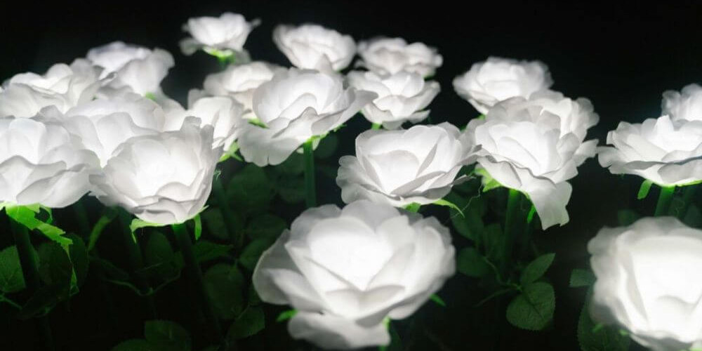 Hospiscare Garden of Light at Darts Farm