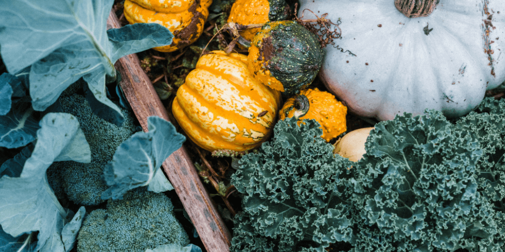 Grilled Romanesque and Crown Prince Squash Romesco