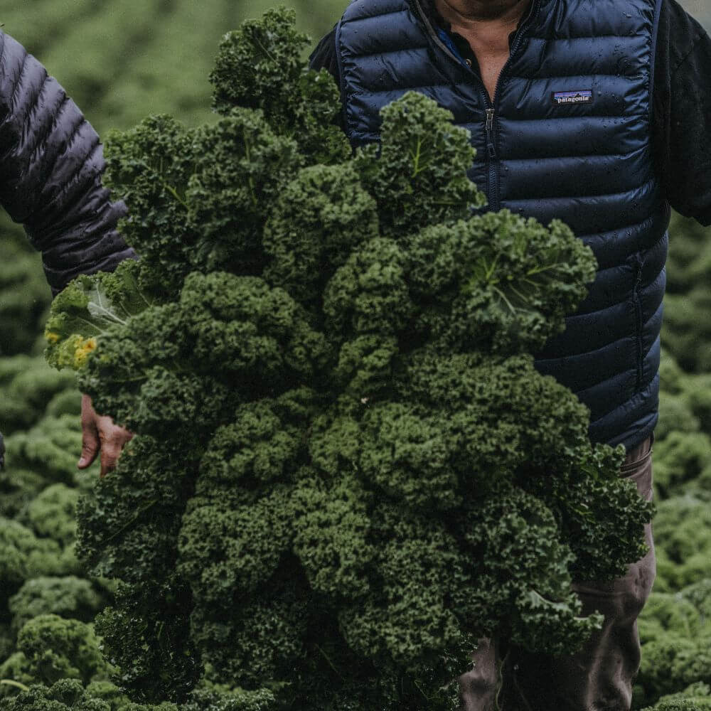 Warm Parsnip, Pear and Beenleigh Blue Cheese Salad Image 1