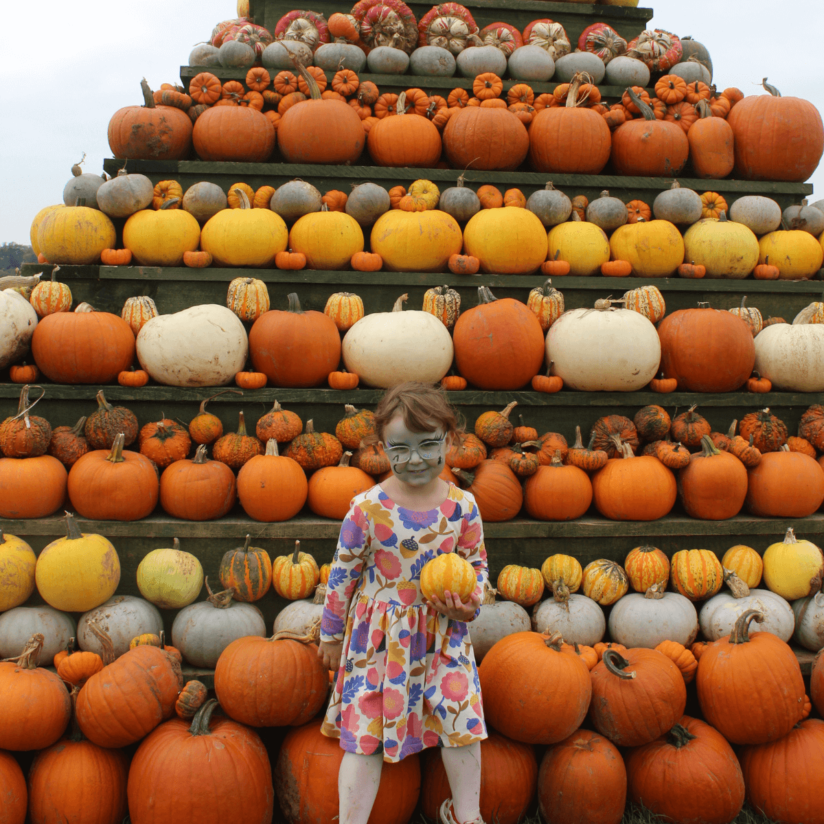 Pumpkin_Facepaint_1200x1200