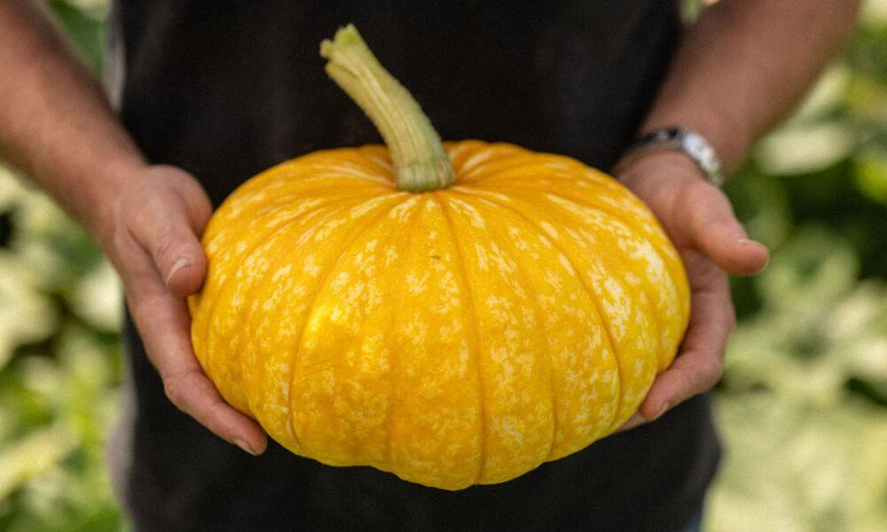 Spiced Squash and Lentil Soup Image 2