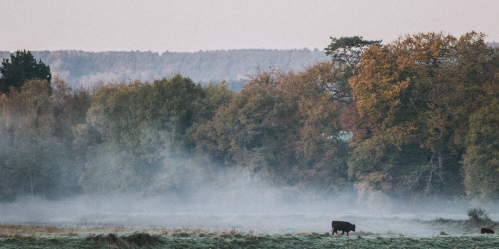 November in The Farm Table