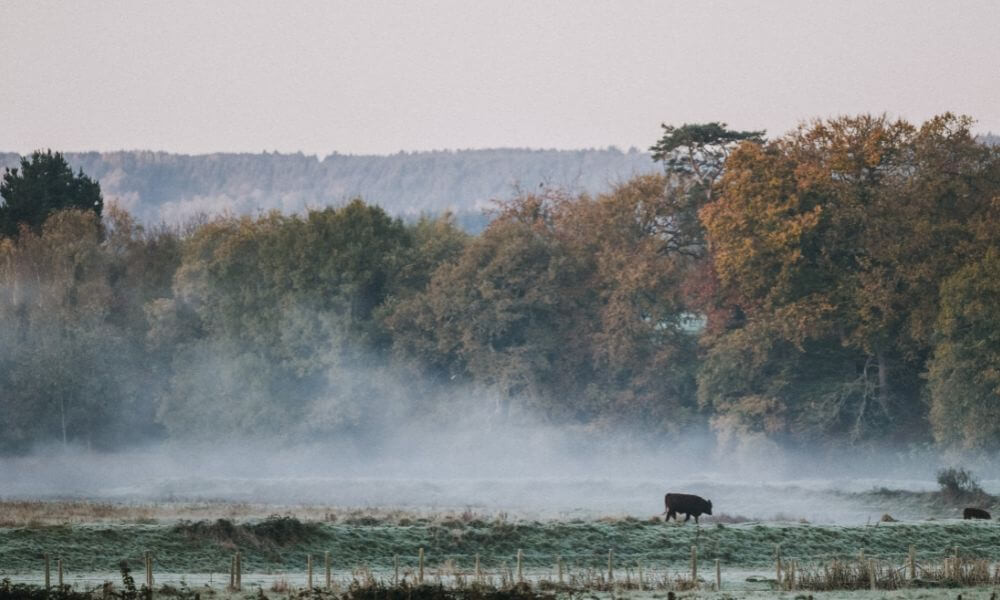 November in The Farm Table