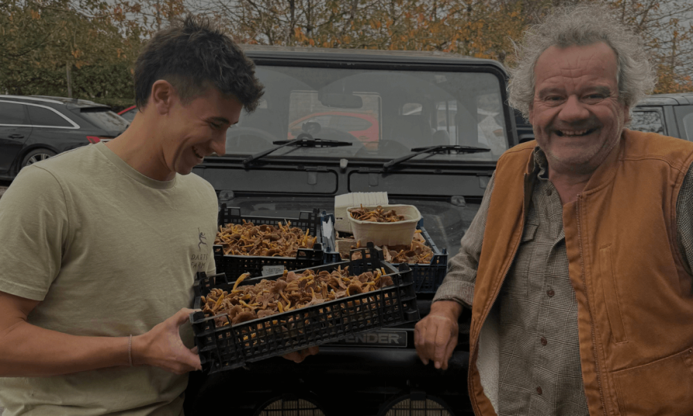 Mark Hix Whipped Potatoes with Chanterelles Image 2
